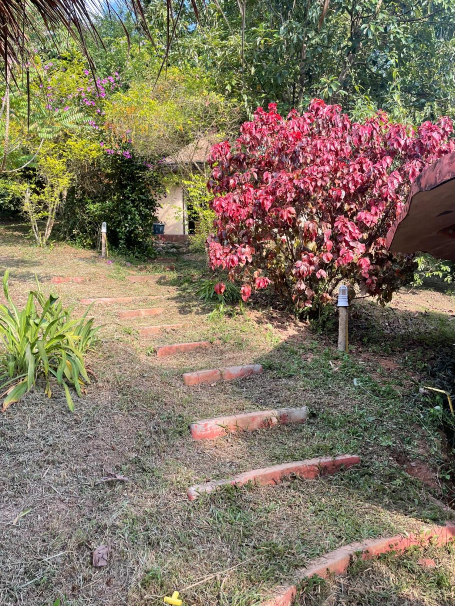 Chiang Dao Roundhouses Экстерьер фото