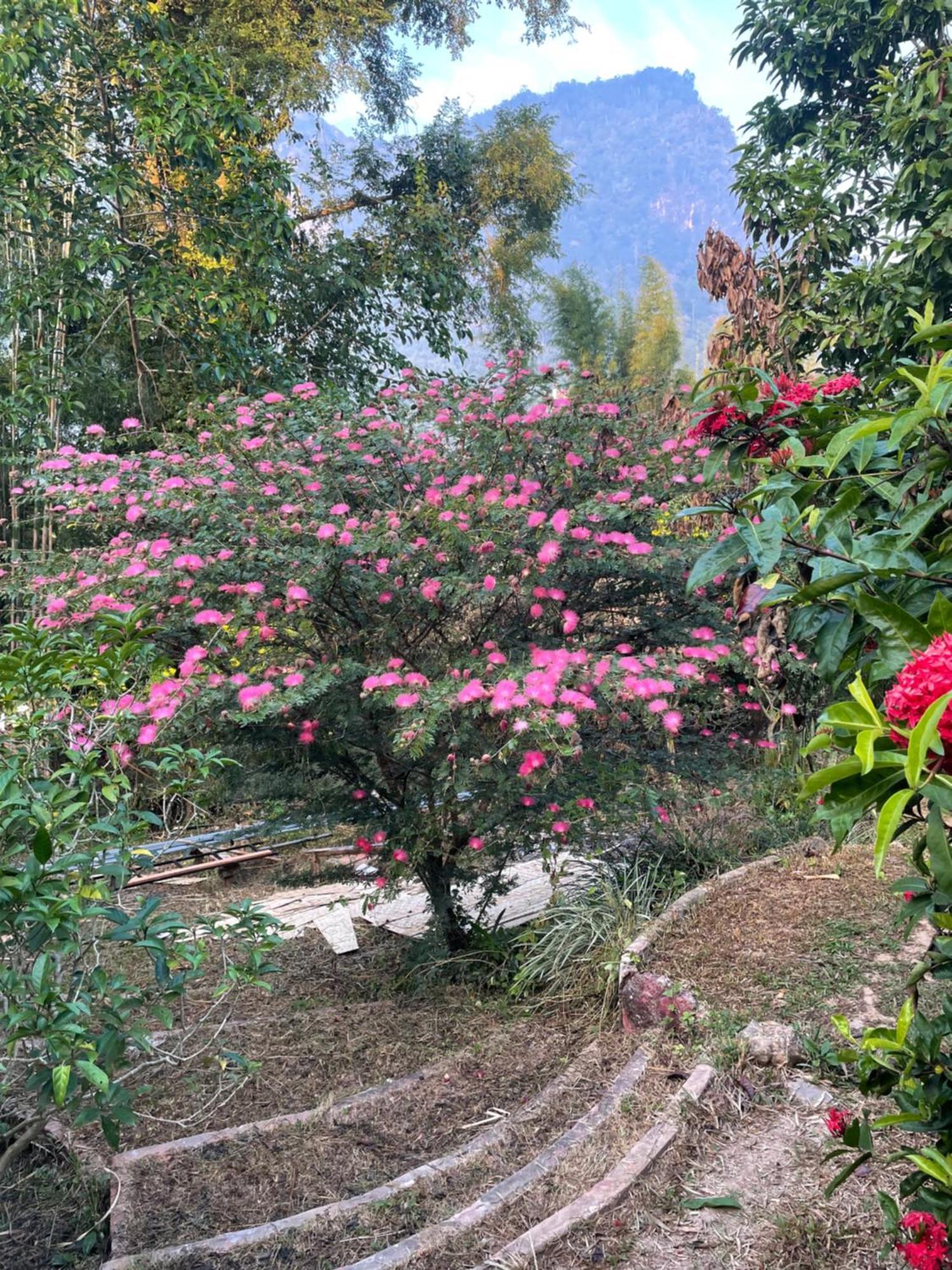 Chiang Dao Roundhouses Экстерьер фото