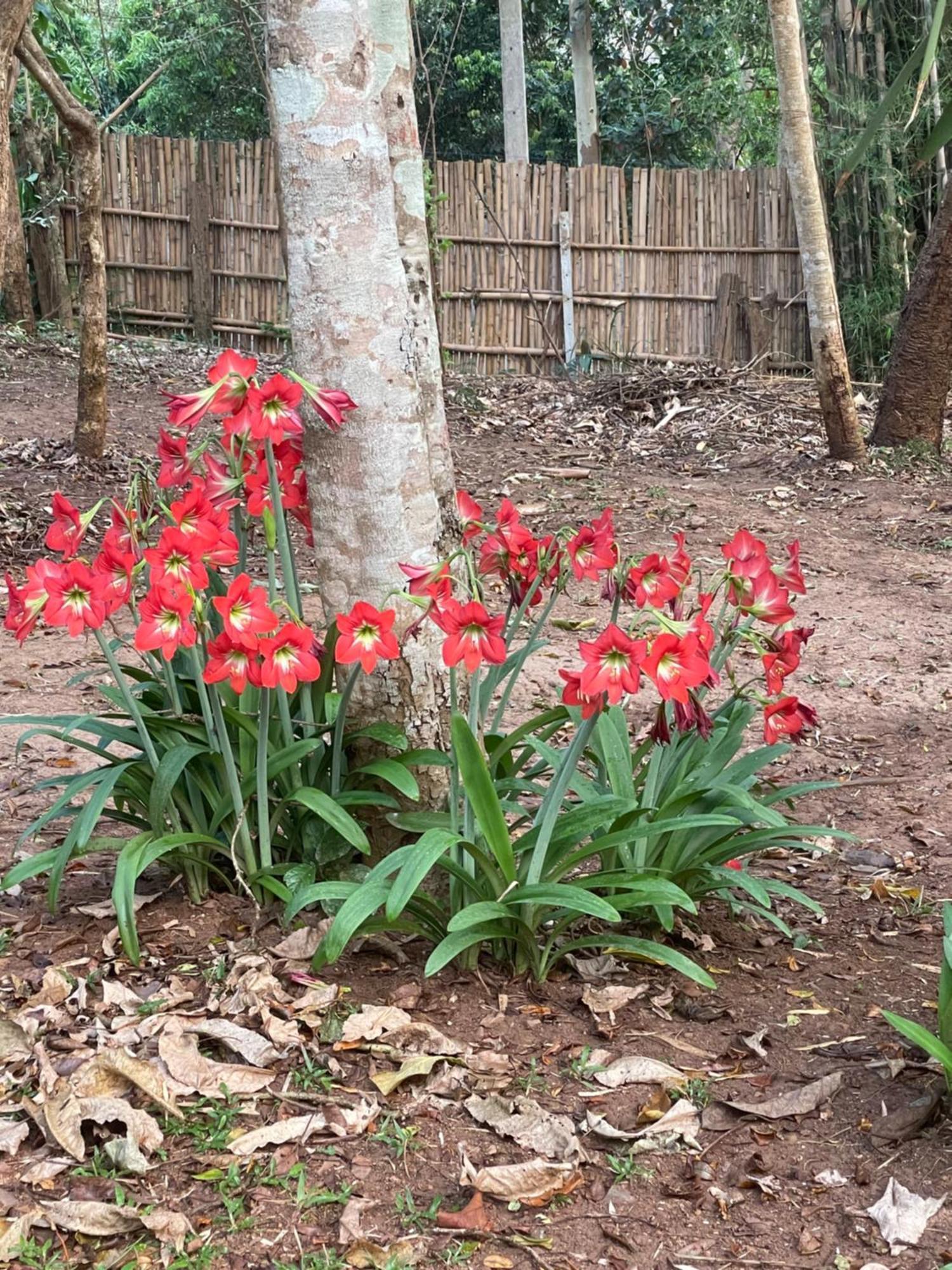 Chiang Dao Roundhouses Экстерьер фото