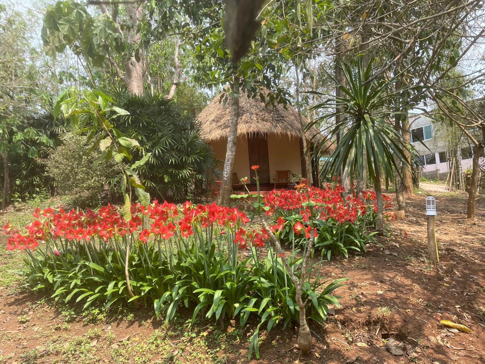 Chiang Dao Roundhouses Экстерьер фото