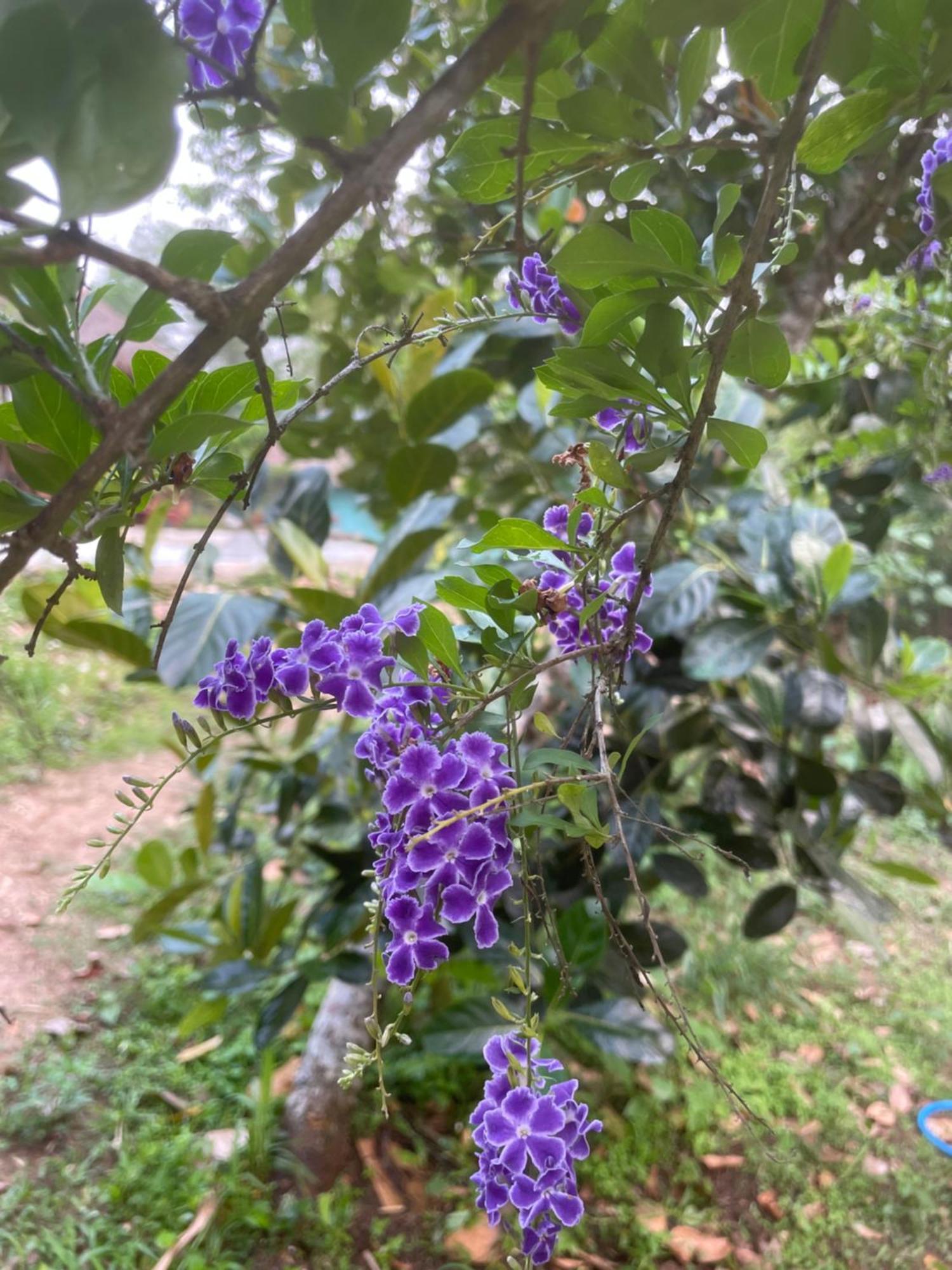 Chiang Dao Roundhouses Экстерьер фото