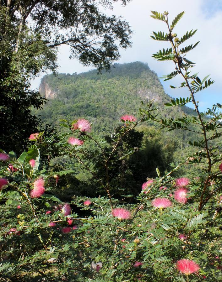 Chiang Dao Roundhouses Экстерьер фото