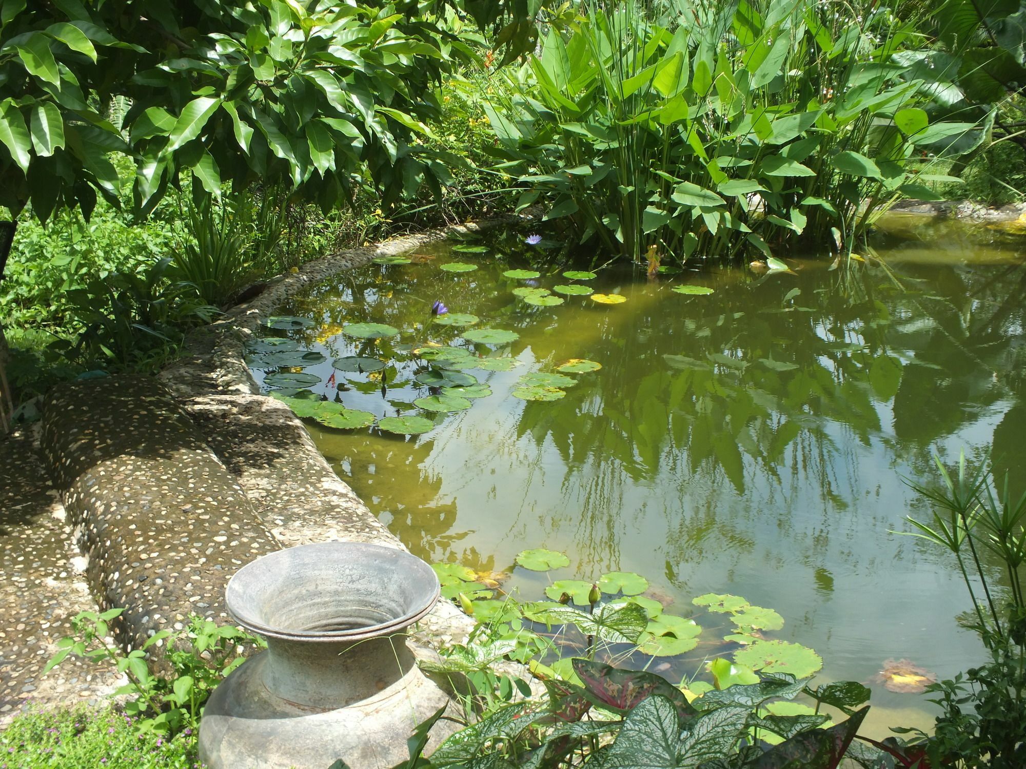 Chiang Dao Roundhouses Экстерьер фото